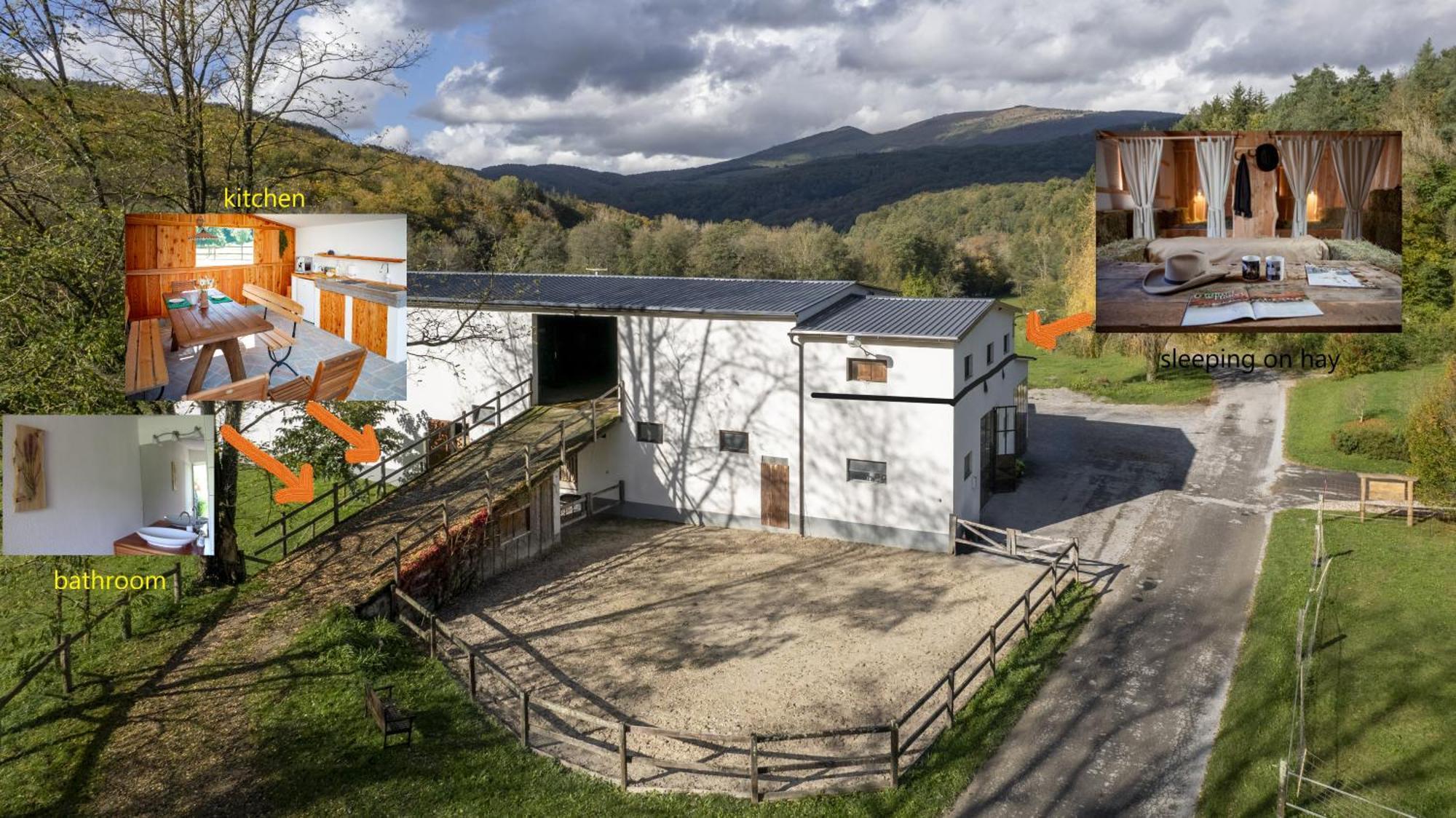 Farm Volk Villa Suhorje Exteriör bild